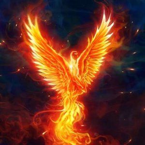 Meet your Posher, Norma